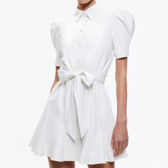 NWT: Alice + Olivia, Lurlene Short Sleeve Vegan Leather Mini Dress Sz: 12 - Picture 2 of 5